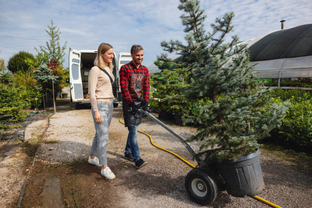 Best Arborist Consultation Services  in Steiner Ranch, TX